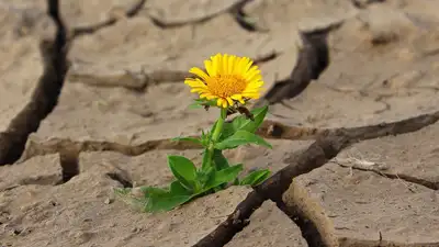 Гороскоп на неделю, фото - Новости Zakon.kz от 11.11.2024 04:34