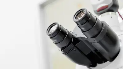 В Швеции работают над новым лекарством от рака, фото - Новости Zakon.kz от 12.11.2024 01:10