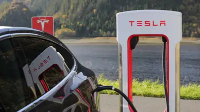 Четверо друзей-индийцев заживо сгорели в автомобиле Tesla в Канаде, фото - Новости Zakon.kz от 13.11.2024 02:35