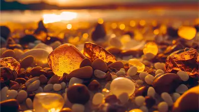 Ученые впервые обнаружили янтарь в Антарктиде, фото - Новости Zakon.kz от 15.11.2024 04:41