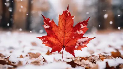 14 ноября Кузьминки осенние, фото - Новости Zakon.kz от 14.11.2024 10:45