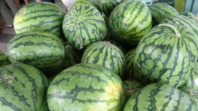 Уроки лета: исследования показали превышение нитратов в арбузах Актау