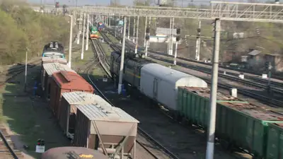 Пассажирский поезд сбил коров в Акмолинской области, фото - Новости Zakon.kz от 16.11.2024 09:23