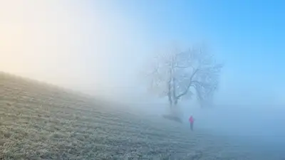 штормовое предупреждение, фото - Новости Zakon.kz от 17.11.2024 19:02