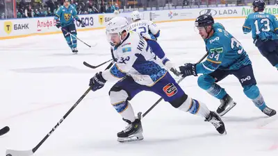 хоккей, фото - Новости Zakon.kz от 17.11.2024 21:26