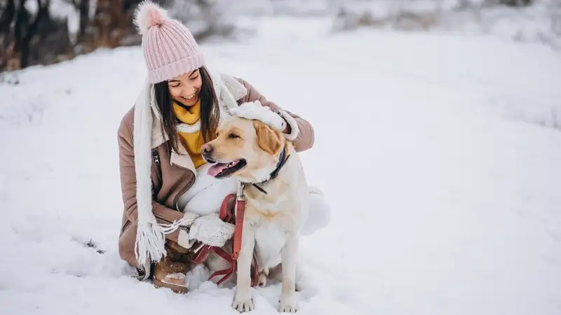 Уход за собакой зимой: семь лайфхаков