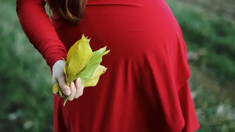 20 ноября Федотов день: приметы о погоде, что нельзя делать