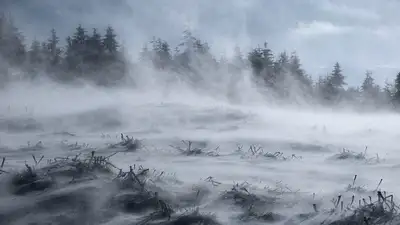 Метель, гололед, туман, погода, Казахстан , фото - Новости Zakon.kz от 21.11.2024 20:06