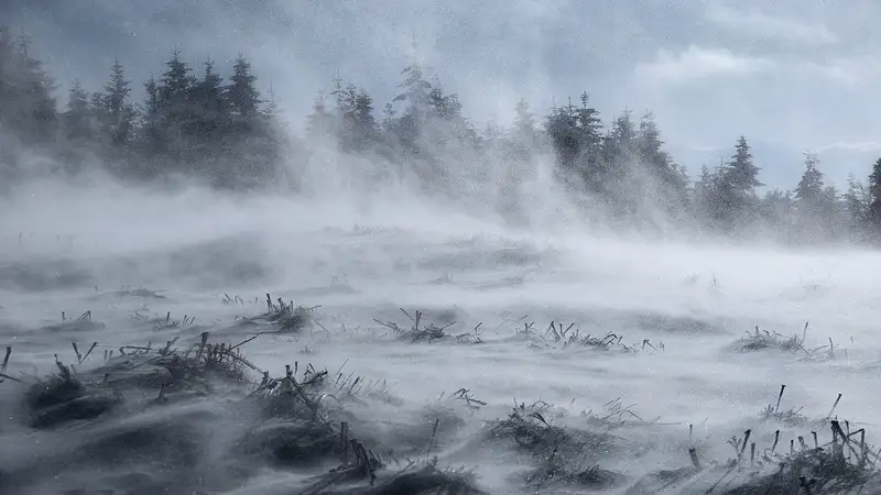 Метель, гололед и туман: в каких областях Казахстана объявили штормовое предупреждение