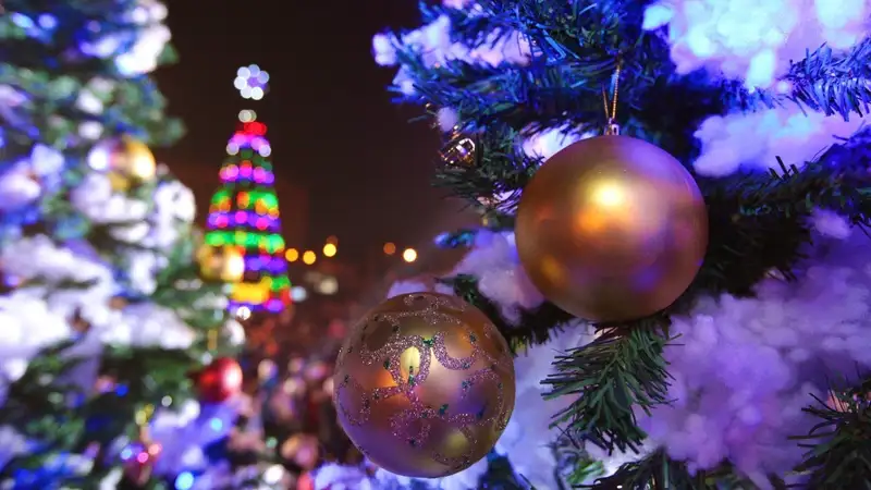 В Шымкенте проверят все световые конструкции после пожара на церемонии зажжения елки