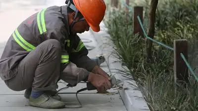 Мигранты, фото - Новости Zakon.kz от 22.11.2024 08:40