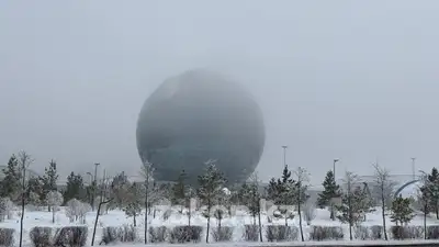 Туман , фото - Новости Zakon.kz от 23.11.2024 12:46