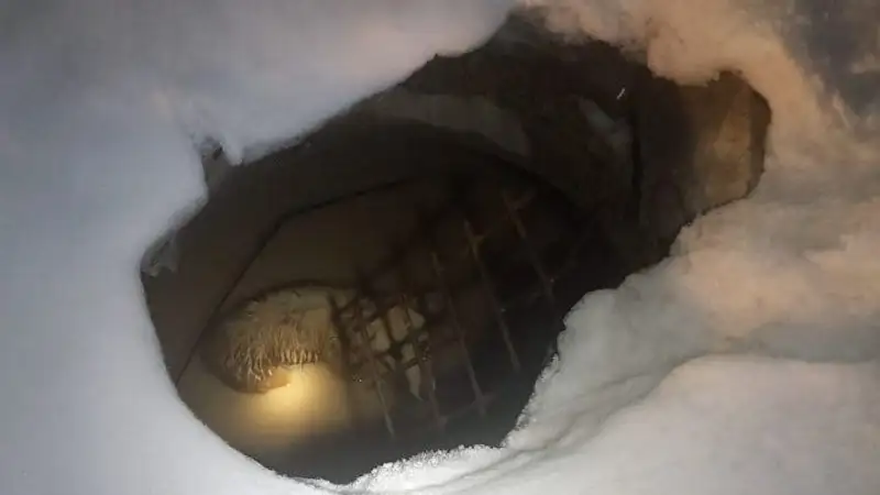 Столичные сотрудники МЧС помогли собаке, попавшей в беду