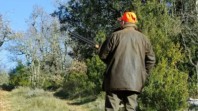 Кошки, фото - Новости Zakon.kz от 26.11.2024 06:26