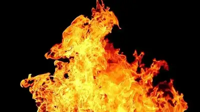 взрыв и пожар произошли на заводе в Турции, фото - Новости Zakon.kz от 26.11.2024 01:54