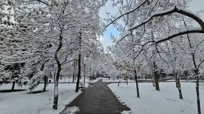 Снег, снегопад, зима, холод, мороз, заморозки, зимний сквер, зимний парк, фото - Новости Zakon.kz от 12.03.2025 18:00