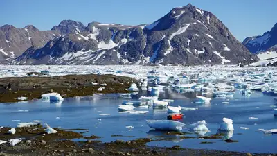 Ученые обнаружили новый фактор потепления в Арктике, фото - Новости Zakon.kz от 27.11.2024 01:52