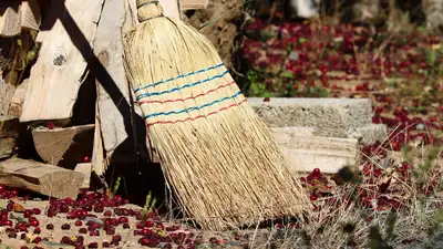 Отказавшийся подметать улицы житель ВКО отправился за решетку, фото - Новости Zakon.kz от 26.11.2024 15:52