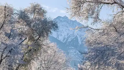 Кадры ноябрьского пейзажа Алматы, Дмитрий Доценко , фото - Новости Zakon.kz от 26.11.2024 23:36