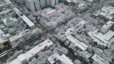 Алматы, Алматы зимой, Алматы зима, виды города Алматы, зима в Алматы, зимой в Алматы, зимний Алматы, заморозки в Алматы, мороз в Алматы, снег в Алматы, похолодание в Алматы, фото - Новости Zakon.kz от 06.03.2025 15:32