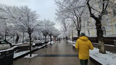 Алматы, Алматы зимой, Алматы зима, виды города Алматы, зима в Алматы, зимой в Алматы, зимний Алматы, заморозки в Алматы, мороз в Алматы, снег в Алматы, похолодание в Алматы, фото - Новости Zakon.kz от 17.01.2025 16:54