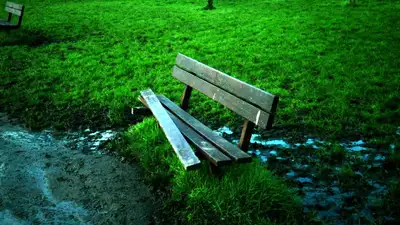 Детей пяти и семи лет обвинили в вандализме в парке Каратау, фото - Новости Zakon.kz от 27.11.2024 19:09