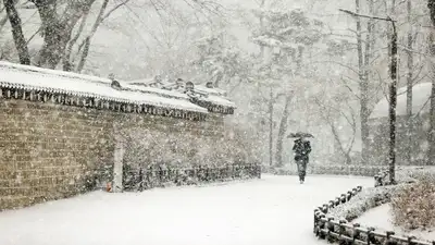 Жители Турции и Южной Кореи, аномальный снегопад, фото - Новости Zakon.kz от 29.11.2024 09:16