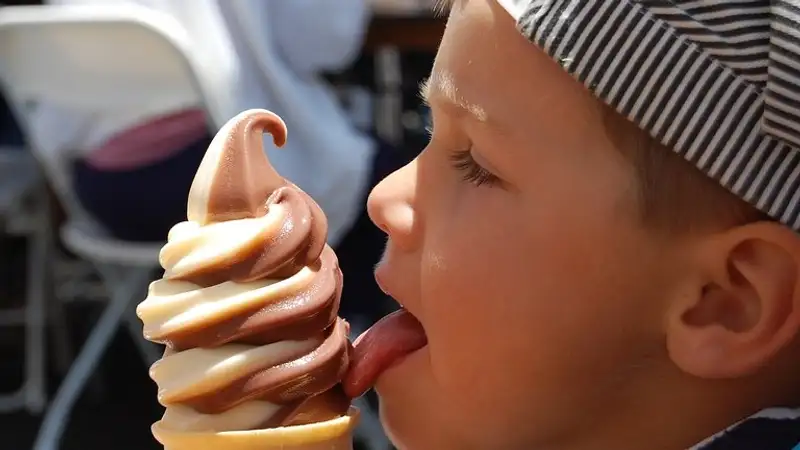 Маленький американец заказал с ноутбука мамы мороженое на 2 тыс. долларов