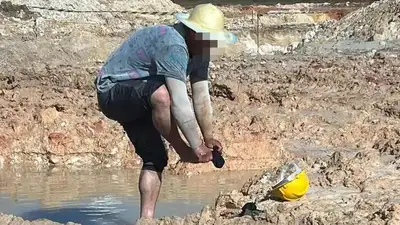 В Бразилии издевались над рабочими из Китая, фото - Новости Zakon.kz от 30.11.2024 21:14