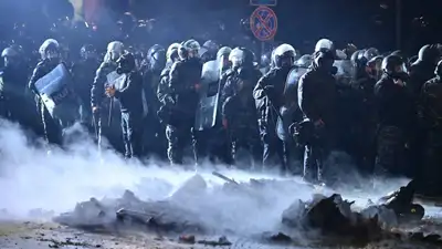 Грузия. протесты, полиция, фото - Новости Zakon.kz от 30.11.2024 12:02