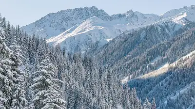 Обворожительную зиму в горах Алматы показал фотограф, фото - Новости Zakon.kz от 02.12.2024 17:32