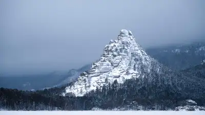 Нацпарк Бурабай, обращение, незаконная вырубка хвойных деревьев , фото - Новости Zakon.kz от 02.12.2024 09:31