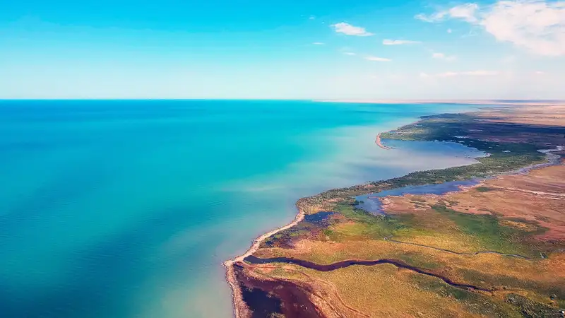 Директора Алакольского заповедника и его подчиненных приговорили к крупным штрафам