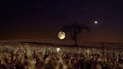 Гороскоп на сегодня, фото - Новости Zakon.kz от 03.12.2024 06:42