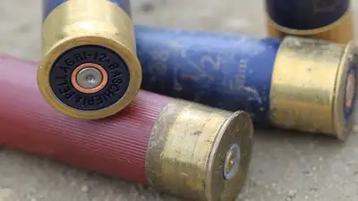 Выстрел, охота, несчастный случай, фото - Новости Zakon.kz от 03.12.2024 18:37