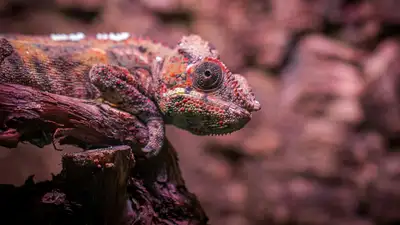 Ученые научились делать человека невидимкой, фото - Новости Zakon.kz от 04.12.2024 15:37