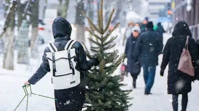 Праздничное оформление, фото - Новости Zakon.kz от 04.12.2024 08:45