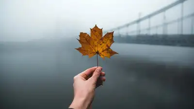 плохая погода в Казахстане, фото - Новости Zakon.kz от 04.12.2024 20:01