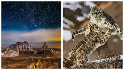 , фото - Новости Zakon.kz от 13.12.2024 15:32