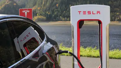 Tesla может выпустить новую модель бюджетного электромобиля, фото - Новости Zakon.kz от 11.12.2024 04:59