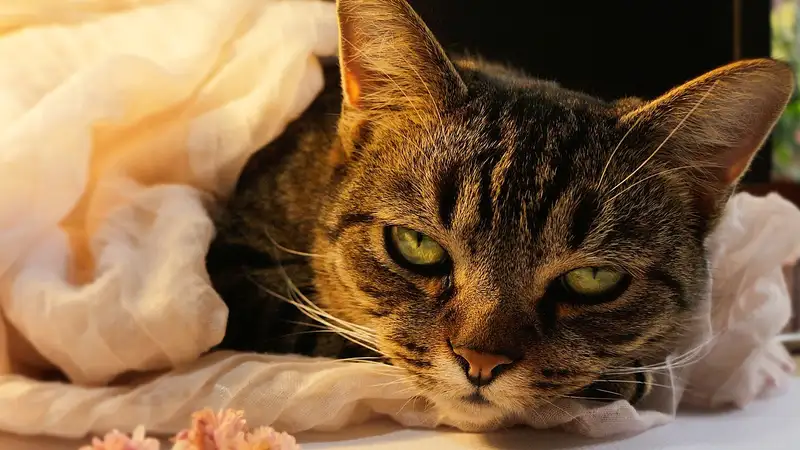 Воскресный гороскоп для всех знаков зодиака