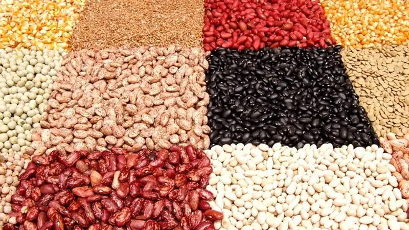 Какой продукт богат растительным белком и способен конкурировать с мясом