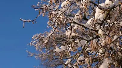 Снегопад, фото - Новости Zakon.kz от 16.12.2024 02:15