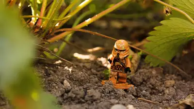 Американские военные сообщили о подготовке к войне в космосе, фото - Новости Zakon.kz от 17.12.2024 02:20