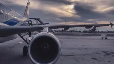 самолет, Великобритания, стюардесса, трап, фото - Новости Zakon.kz от 20.12.2024 21:00