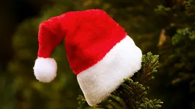 Колонна из Дедов Морозов попала на видео в Алматы, фото - Новости Zakon.kz от 21.12.2024 01:48