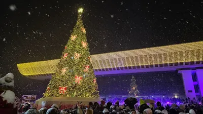 Новогоднюю елку зажгли в Алматы – фоторепортаж, фото - Новости Zakon.kz от 20.12.2024 19:01