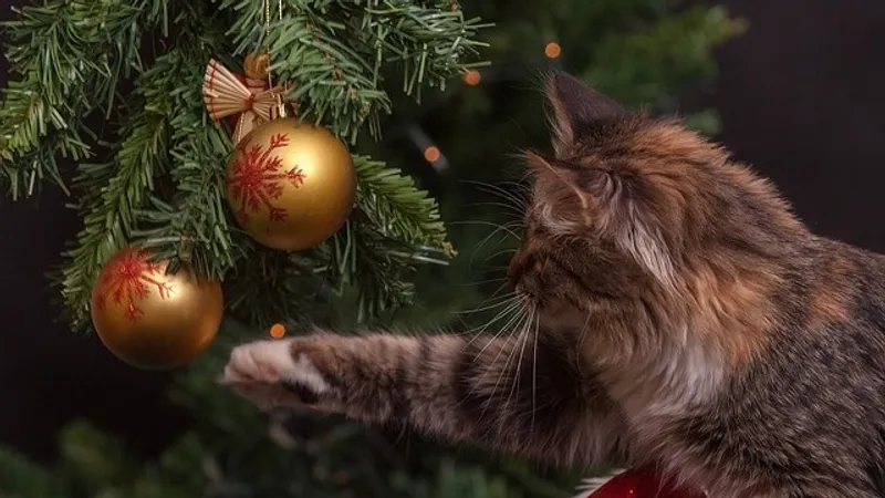 Почему Новый год для людей наступает все быстрее