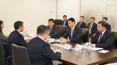 проект в Туркестанской области, фото - Новости Zakon.kz от 17.12.2024 19:50