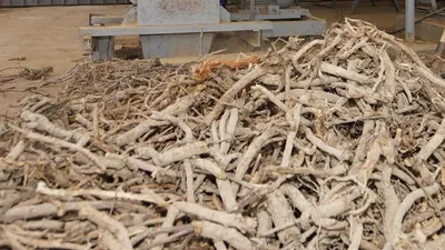 Жетысай начинает новую эру переработки, фото - Новости Zakon.kz от 15.12.2024 19:49